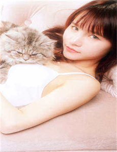 伤城2006