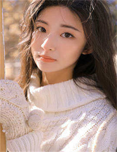 决战燕子门电视剧43